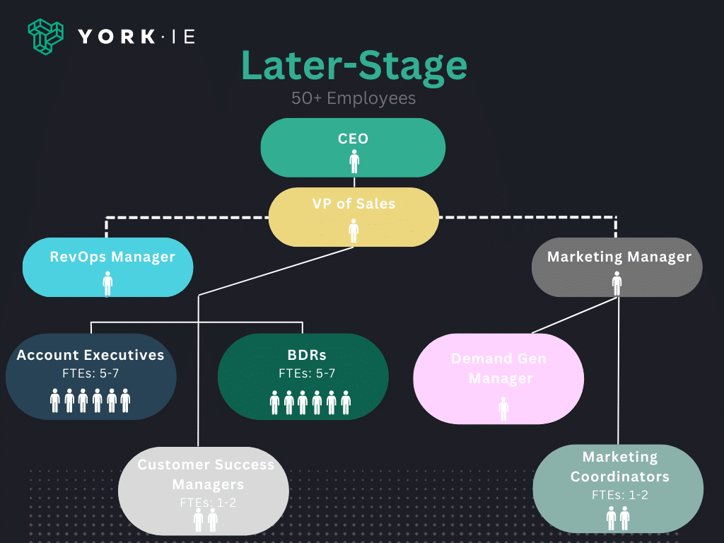 Later-stage sales organization structure
