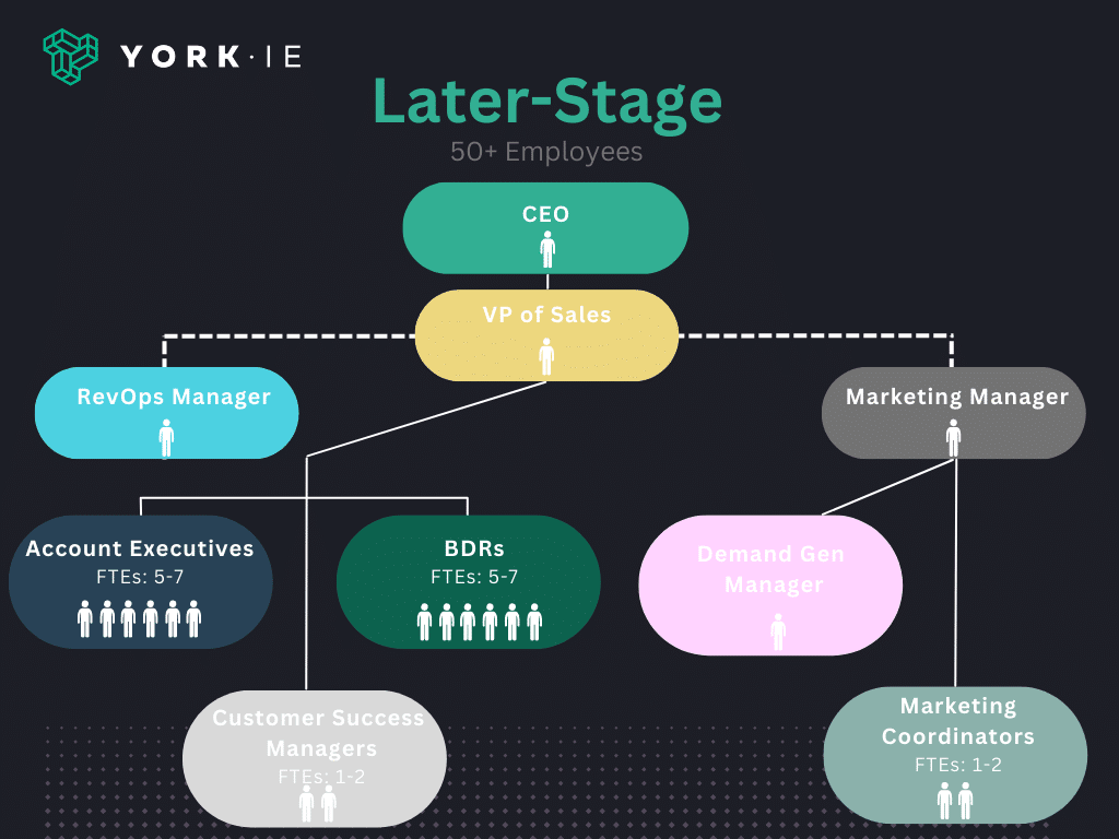 sales department structure