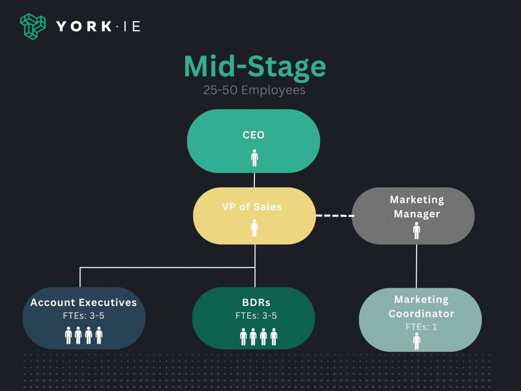 Mid-stage sales organization structure
