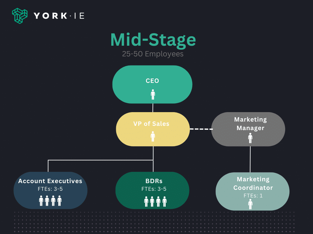 sales department structure