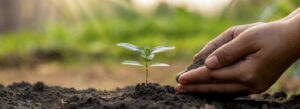 startup growth strategy