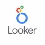 website-services-looker-logo