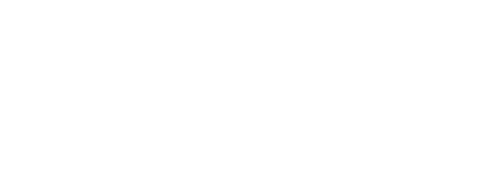 Echo Consulting