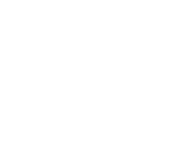 Forcivity