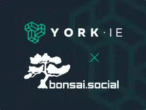 Bonsai Social Joins York IE Labs