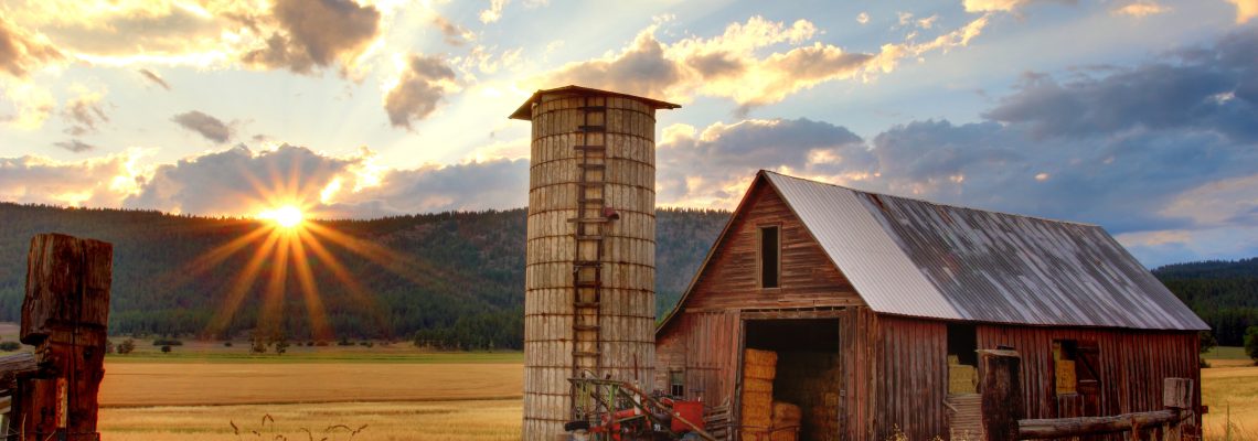Farm